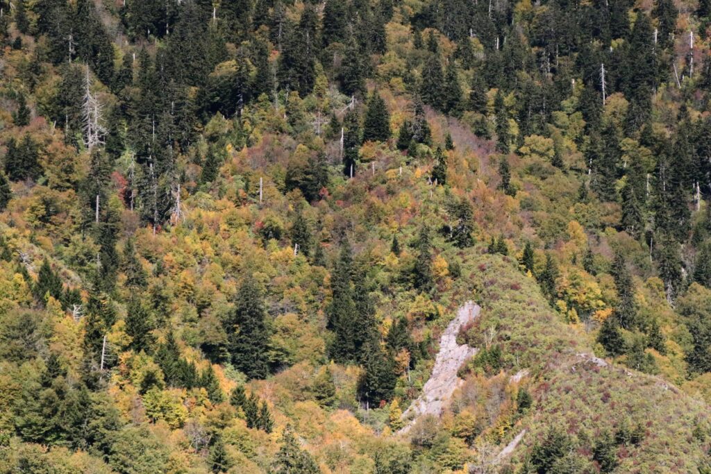 The Great Smoky Mountains