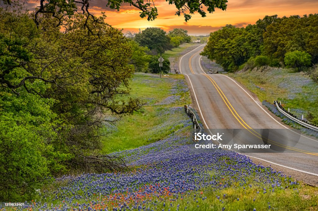 The Texas Hill Country