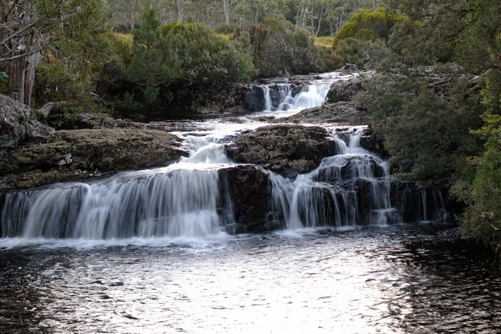 tasmania, cradle mountain lodge, australia-3869684.jpg