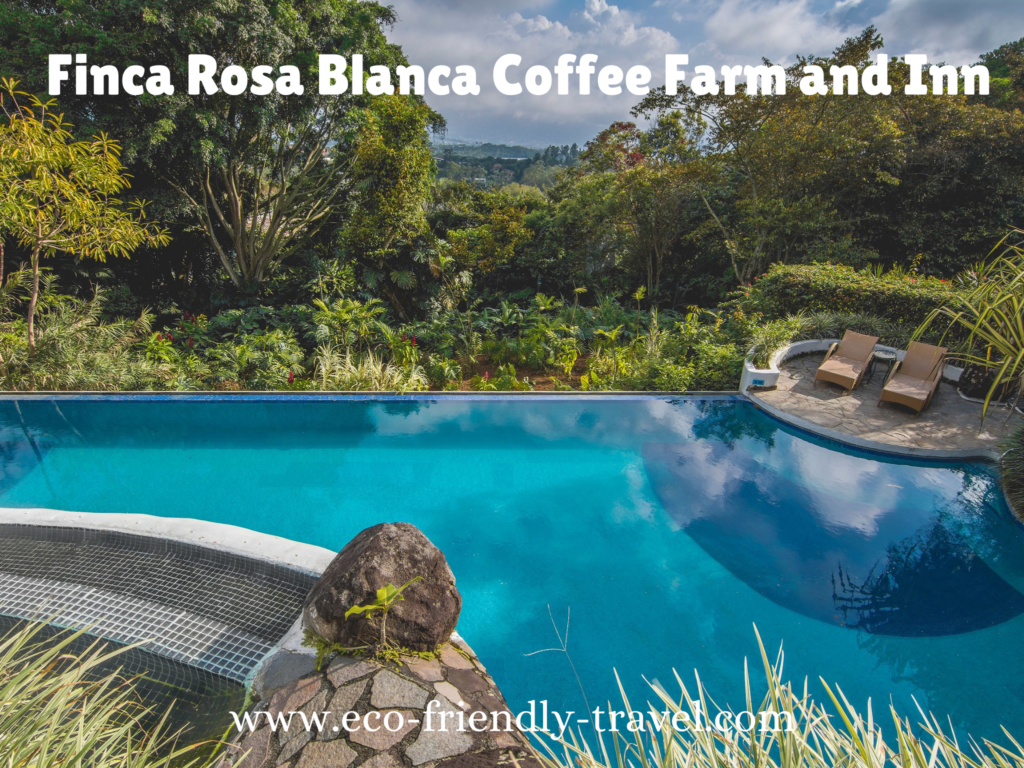 Sustainable hotels in Costa Rica, eco-friendly lodges in Costa Rica, eco-friendly resorts in Costa Rica, eco-friendly hotels in Costa Rica 2